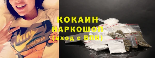 хмурый Дмитров