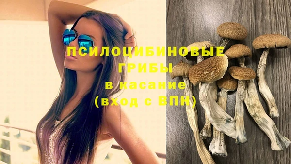 хмурый Дмитров