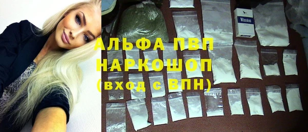 хмурый Дмитров