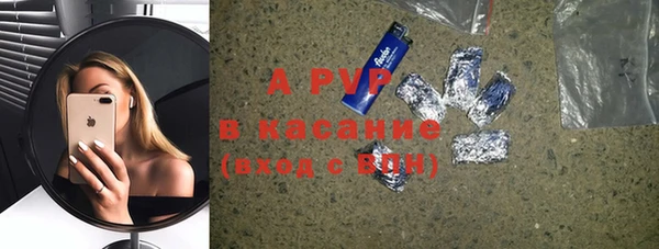 хмурый Дмитров