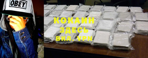 хмурый Дмитров