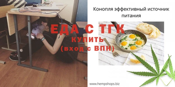 хмурый Дмитров