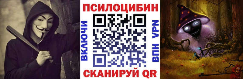 блэк спрут как войти  Ирбит  Галлюциногенные грибы прущие грибы 
